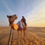 Noc na Pustyni Rub Al Khali