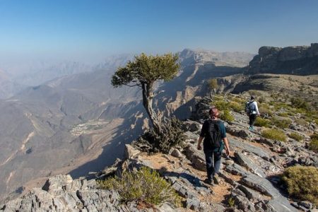 Wycieczka Jabal Akhdar i Wadi Bani Habib z Maskatu lub Nizwy