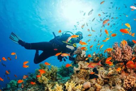 Snorkeling w Mirbat